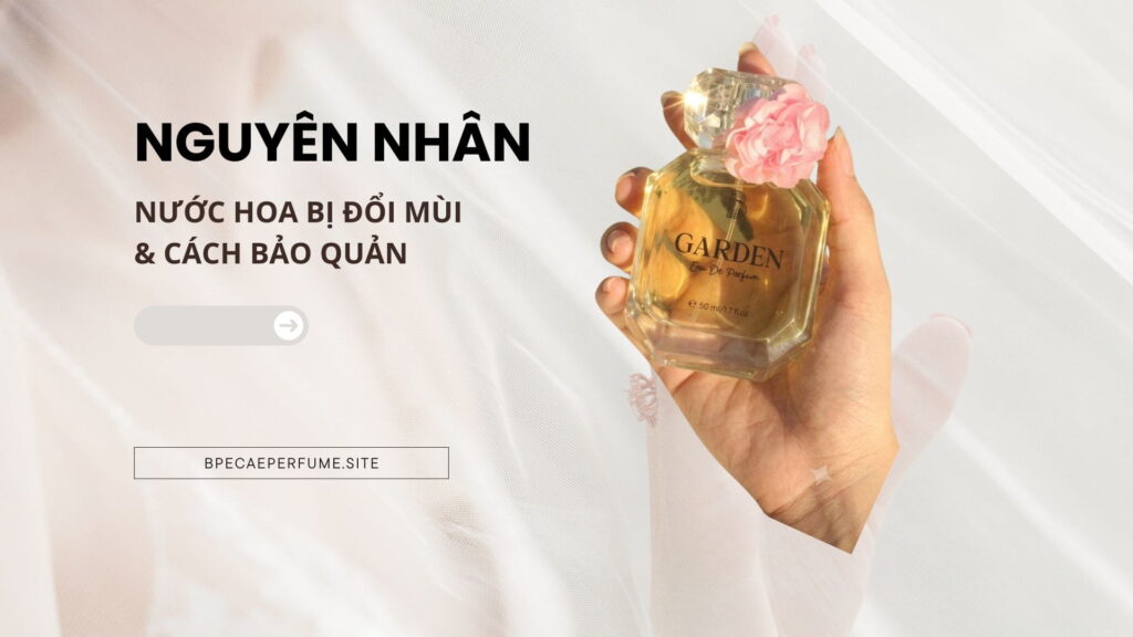 Đừng để lọ nước hoa đắt tiền bị biến đổi mùi hay bay hương chỉ vì 3 thói quen này thiết kế chưa có tên (1)